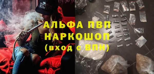 Альфа ПВП Горняк