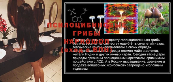 а пвп мука Гусев