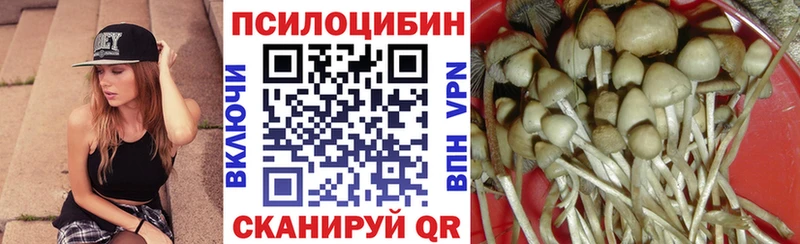 Псилоцибиновые грибы прущие грибы  Купить закладки  Невель 