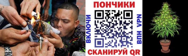 Купить закладки  Невель  Бошки Шишки VHQ 